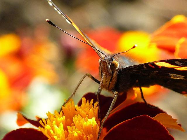wrocławski ogród botaniczny jesiennie 12