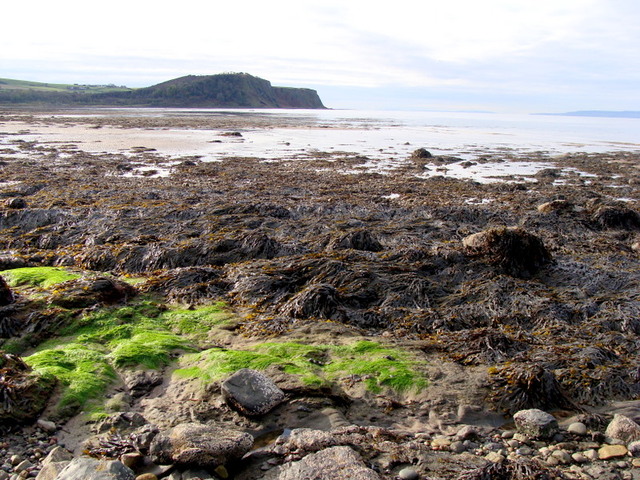 troszkę się zagloniło :]