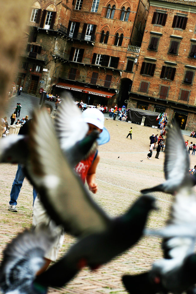 Siena