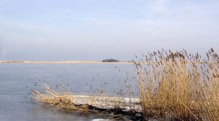 Lód na rozlewisku – Wyspa Sobieszewska, Polska
