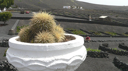8 – Lanzarote, Hiszpania