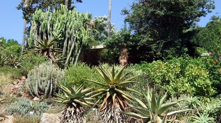 Ogród botaniczny Marimurtra – Blanes, Hiszpania