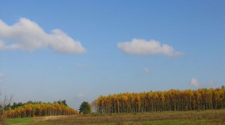 Jesień – Suliszów, Polska
