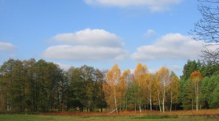 Jesień – Suliszów, Polska