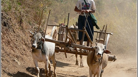 Myanmar 1286 – Kalaw, Birma