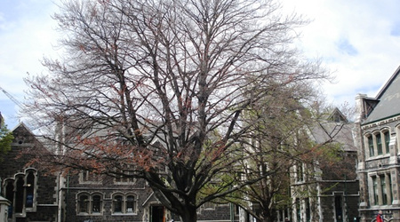 Christchurch – Nowa Zelandia