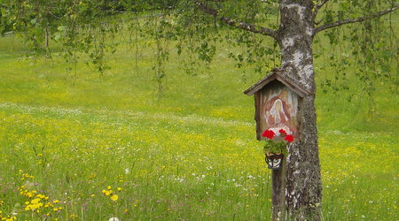 Austria – Interhome