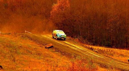 Rally of Great Britain (WRC) - SS16: Rheola – Resolven, Wielka Brytania