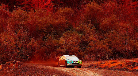 Rally of Great Britain (WRC) - SS16: Rheola – Resolven, Wielka Brytania