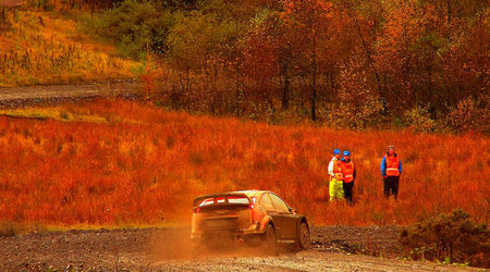 Rally of Great Britain (WRC) - SS16: Rheola – Resolven, Wielka Brytania