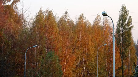 Jesień w blokowisku 2009 01 – Łódź, Polska