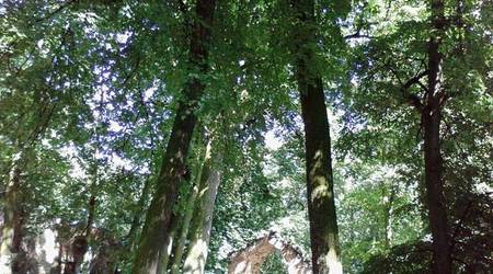 Park Arkadia – Polska