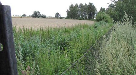 natura  okolice boiska – Damasławek, Polska