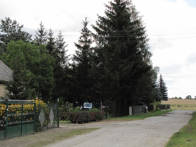 klub sportowy sokol - okolica  Boisko