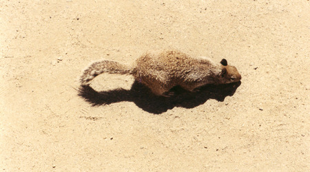 Yosemite NP - Kalifornia – Merced, Stany Zjednoczone Ameryki
