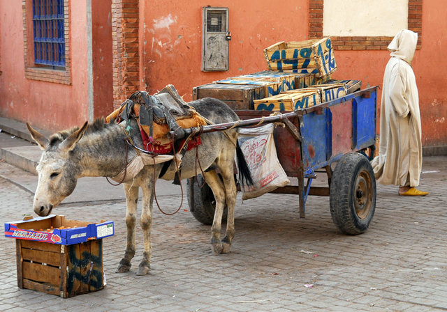 Maroko, Fez