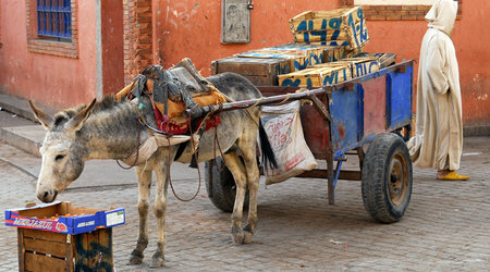 Maroko, Fez – Interhome
