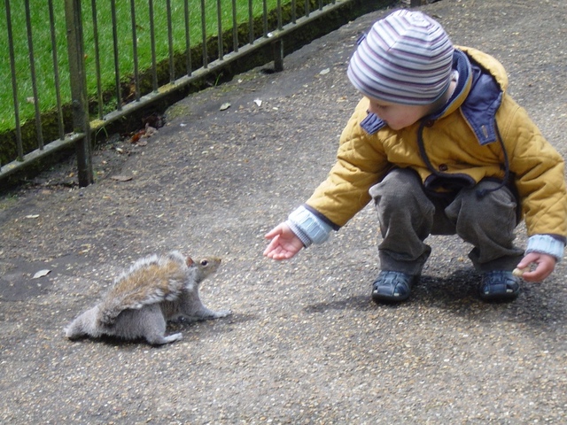 Londyn, Kensington Gardens