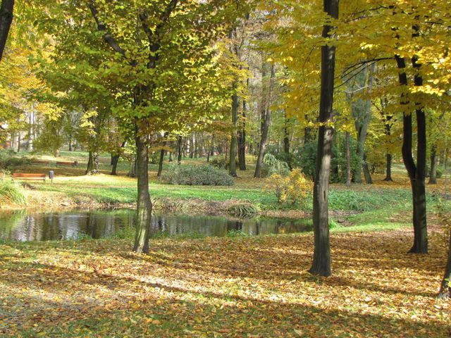 Park jesienia