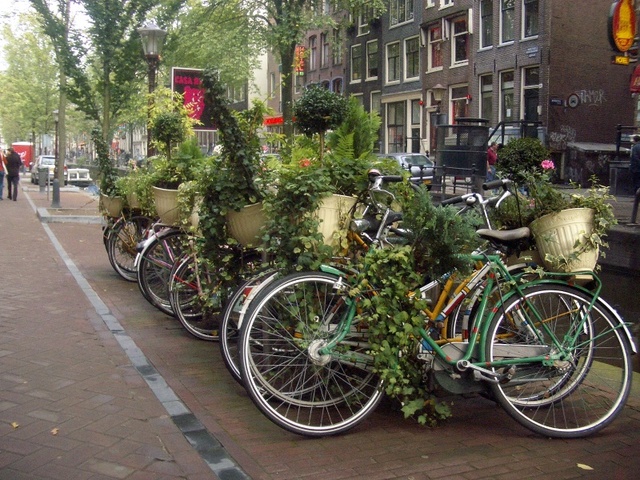 amsterdam