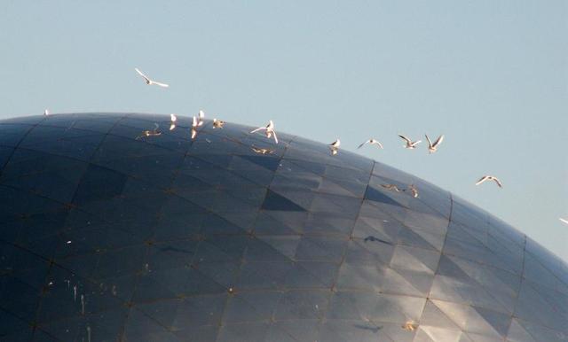 Kopula la villette2