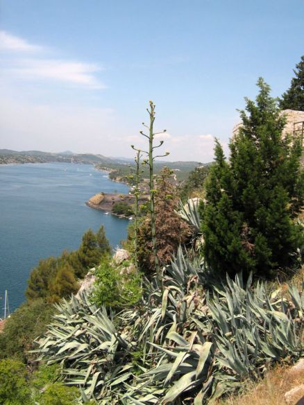 Sibenik, Dalmacja, Chorwacja