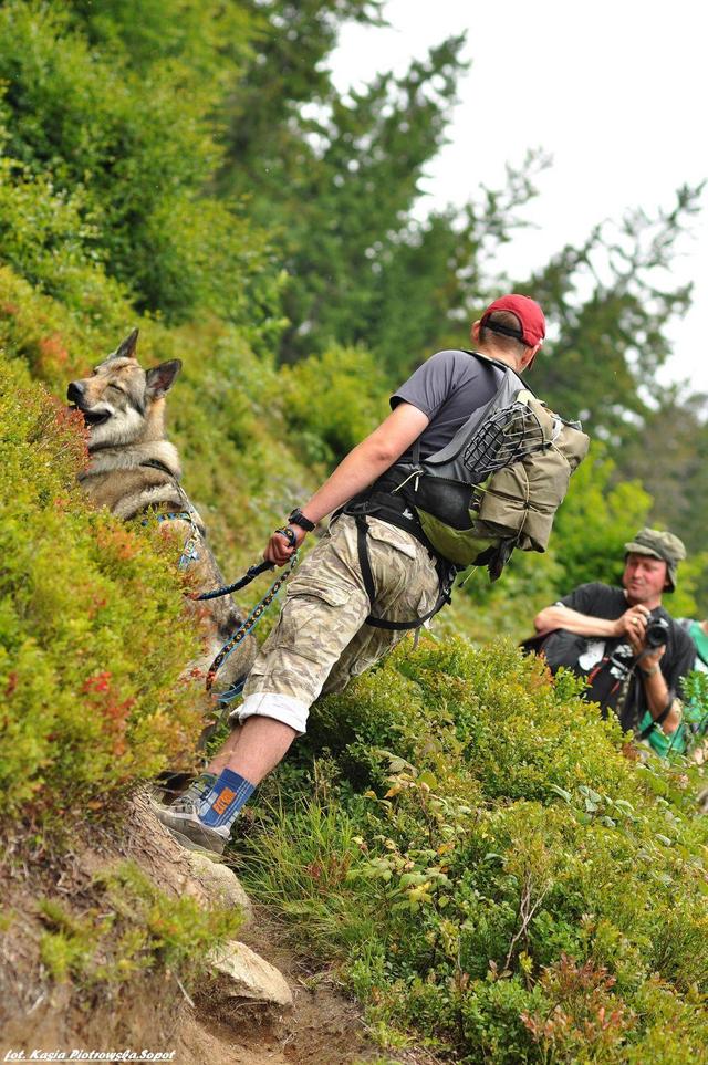 Mala Fatra, Słowacja  - podejście pod Chleb.