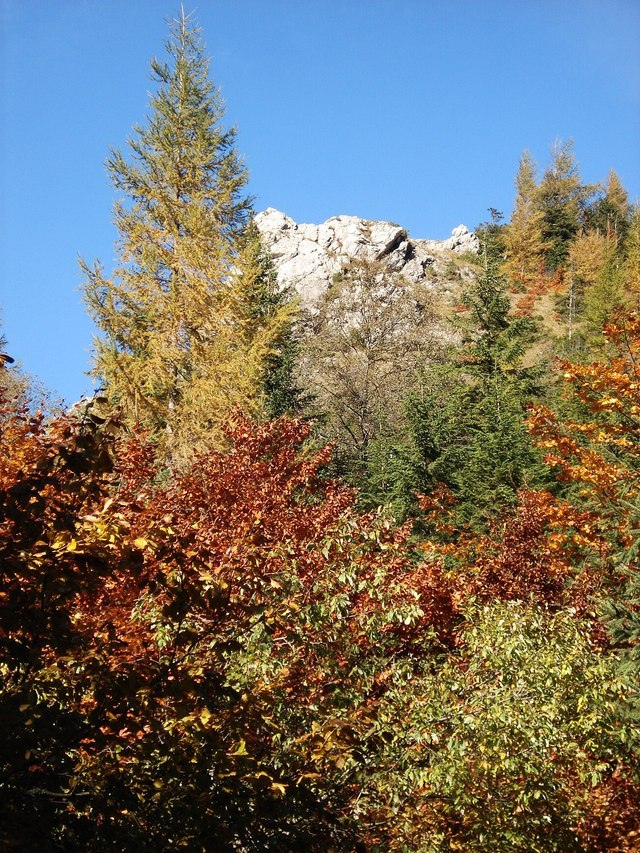 Zakopane 1