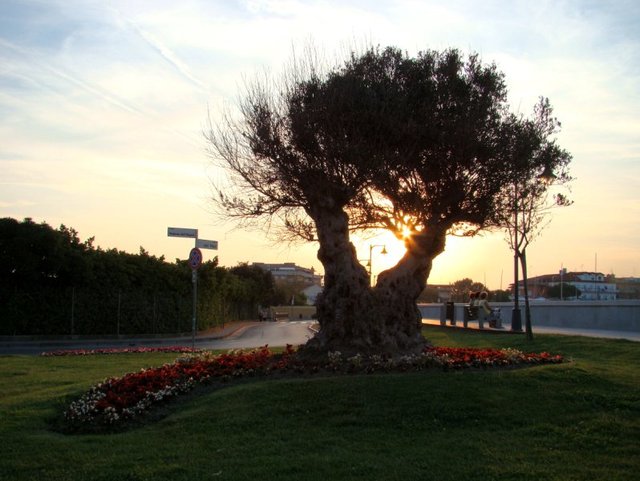 Caorle, Veneto, Włochy  