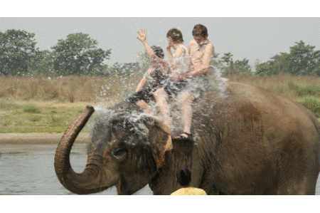 Park Chitwan – Nepal