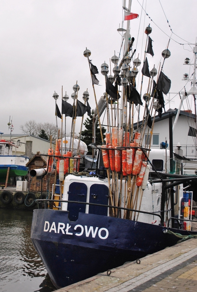 Darlowo 13