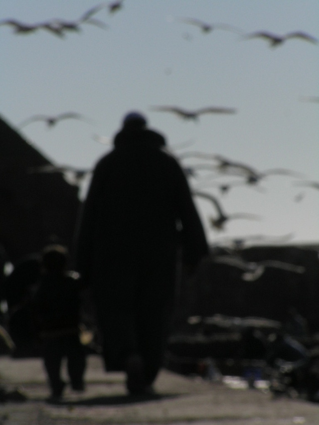 Essaouira. Powrót rybaka