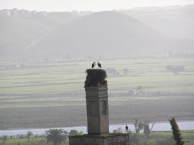 Rabat, Szella. Jak na Mazurach