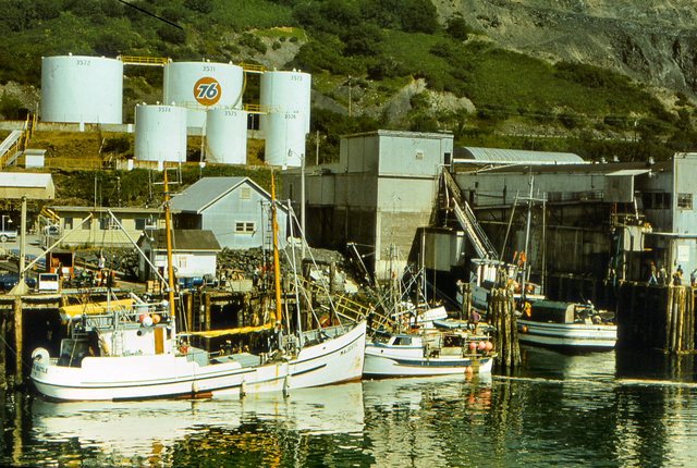 W porcie rybackim na  Kodiak Island.