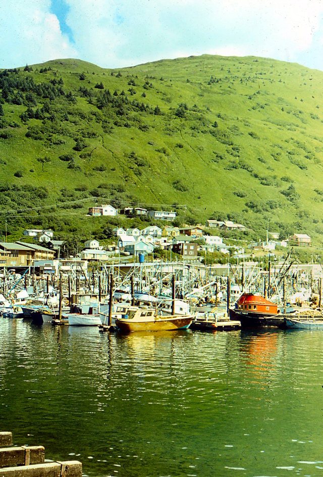 Port rybacki  na  Kodiak Island.