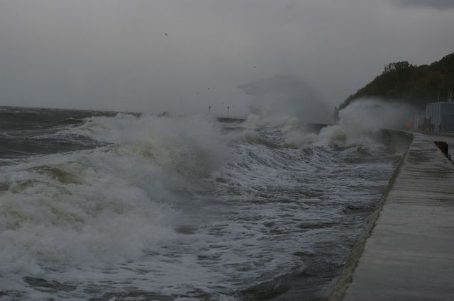 Gdynia-Gniew Bałtyku