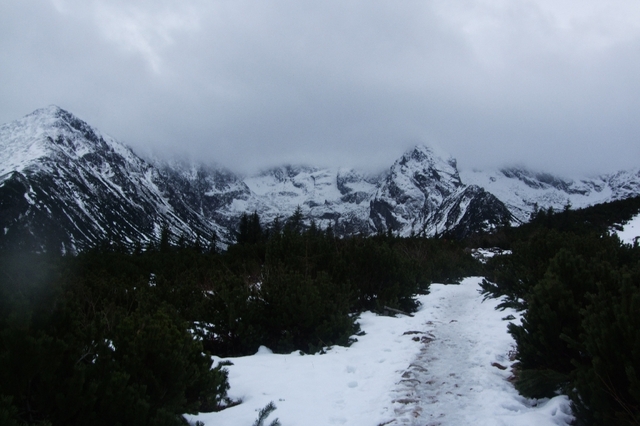 Hala gasienicowa zima