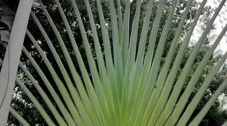 161467 - Kuala Lumpur – Malezja