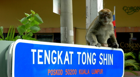 161483 - Kuala Lumpur – Malezja