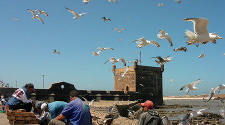 Essaouira, Maroko – Interhome