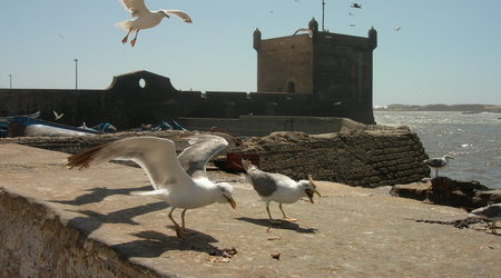 Essaouira, Maroko – Interhome