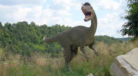JuraPark Bałtów – Polska
