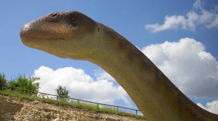 JuraPark Bałtów – Polska