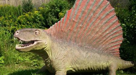 JuraPark Bałtów – Polska