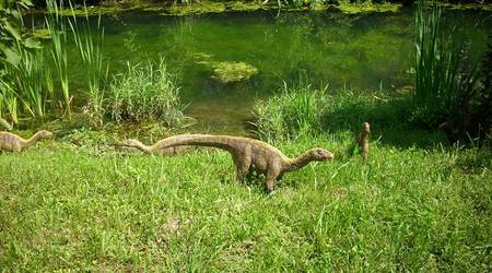 JuraPark Bałtów – Polska