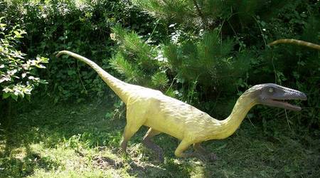 JuraPark Bałtów – Polska