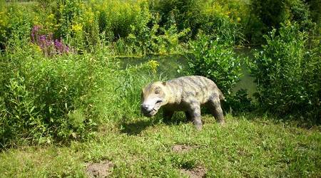 JuraPark Bałtów – Polska