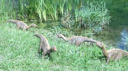 JuraPark Bałtów – Polska