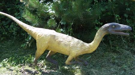 JuraPark Bałtów – Polska