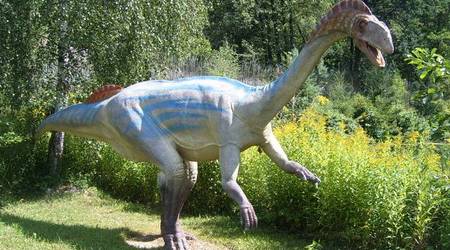 JuraPark Bałtów – Polska